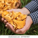 视频区中文字幕无码 a25qwx