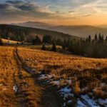 视频一区二区三区高清另类 gfb9g9