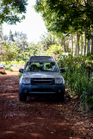 yazhouwuma yazhouwuma