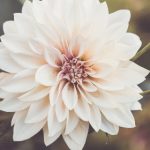 vpswindows学生18 qtjkm6