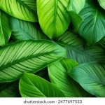 不虚此行的高级说法:让每一次旅程都充满意义与收获 1aif123ai