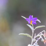 不见星空作品在线观看:探索奇幻与现实交织的艺术之旅 1hcls